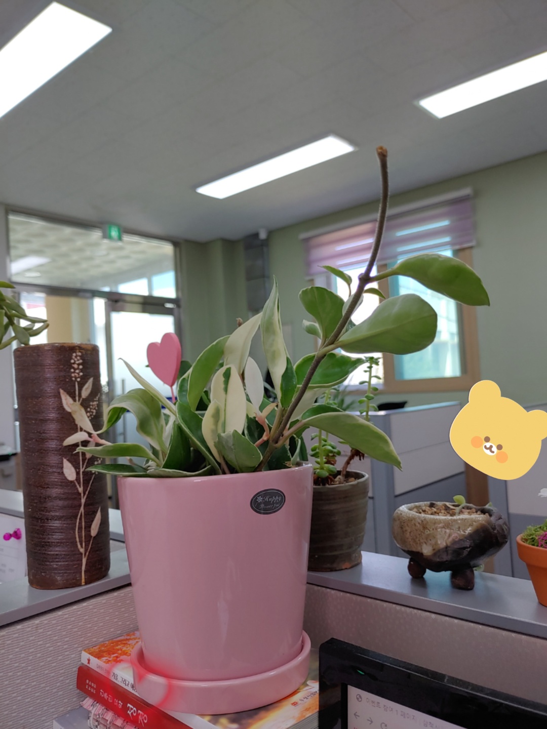반려식물 