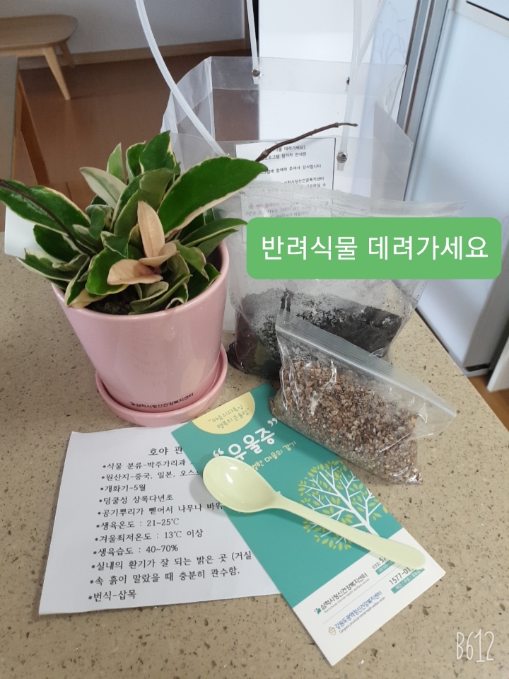 임경희님의 후기(문자 접수)