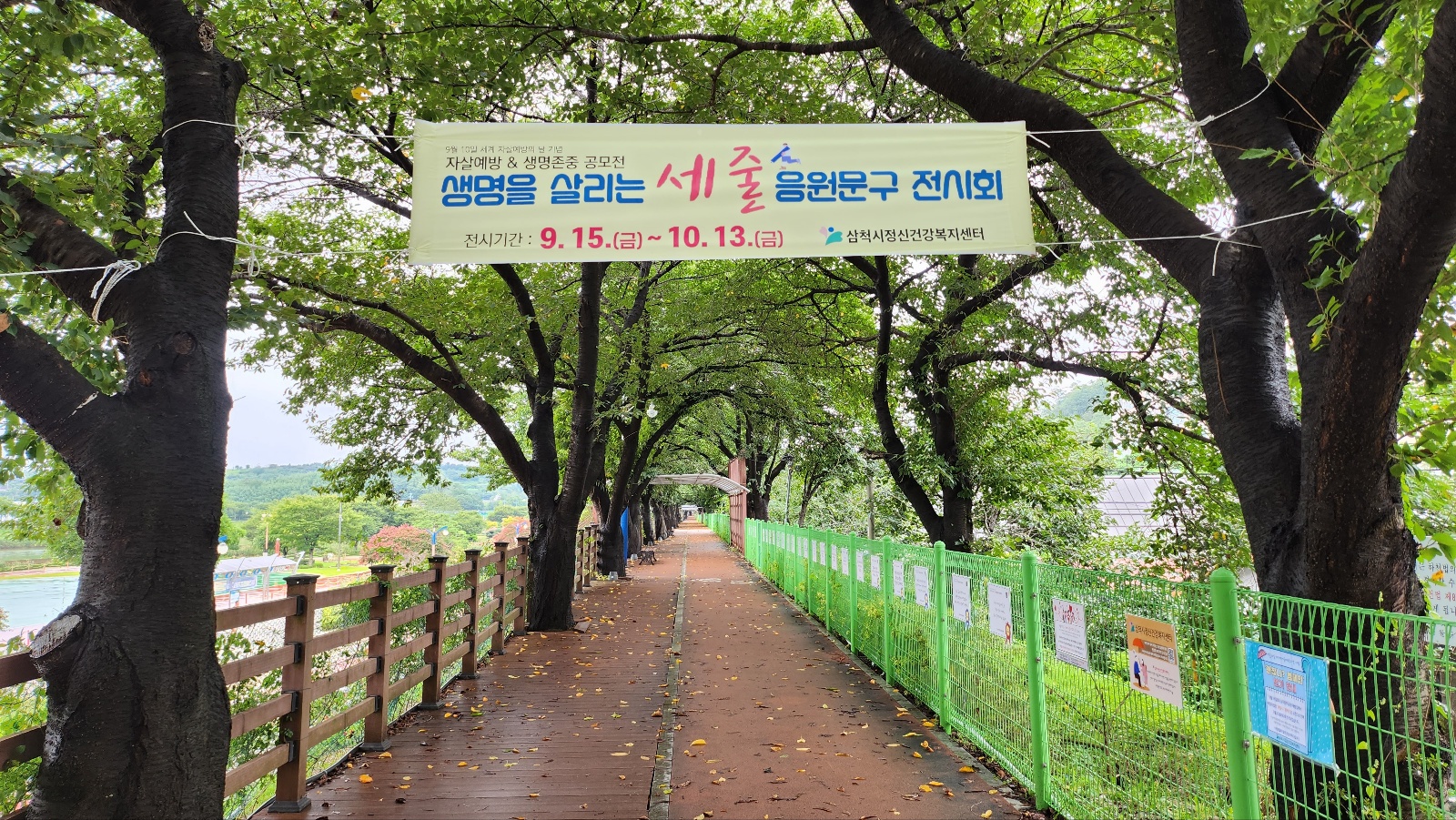 세계 자살예방의 날 기념 캠페인  '생명을 살리는 세 줄 응원문구 전시회'